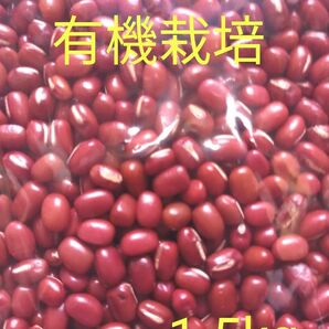 小豆　乾燥小豆　長野県産小豆　有機栽培　大容量1.5kg 1500㌘