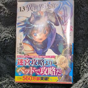  異世界迷宮でハーレムを　１３ （ヒーロー文庫） 蘇我捨恥／〔著〕