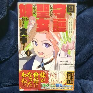 国を守護している聖女ですが、妹が何より大事です～妹を泣かせる奴は拳で分からせます～＠ＣＯＭＩＣ　１ （コロナ・コミックス）