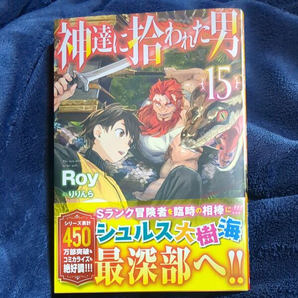  神達に拾われた男　１５ （ＨＪ　ＮＯＶＥＬＳ　ＨＪＮ２７－１５） Ｒｏｙ／著