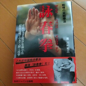 詠春拳　平成6年　武術　古武道　空手道　空手　気功　東洋医学　カンフー　気功　永春拳　ジークンドー　ブルースリー