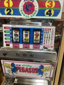  new Pegasus slot machine used machine 