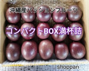 沖縄産 パッションフルーツ コンパクトbox満杯詰