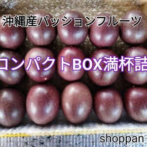 沖縄産 パッションフルーツ コンパクトbox満杯詰