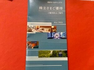 1冊☆西武ホールディングス株主優待券（500株未満）共通割引券1000円×3枚・他☆2024年11月30日期限♪