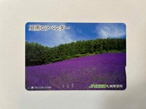 未使用1000円☆オレンジカード・風薫るラベンダー☆JR北海道　札幌車掌所♪