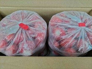 冷凍いちご　福岡県産あまおう　規格外訳アリ品　令和６年5月収穫　ヘタカット済　生産者直送　箱込み2キロ　