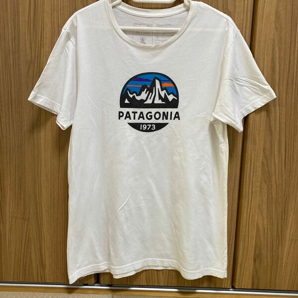 USA製 patagonia パタゴニア メンズ フィッツロイ スコープ オーガニック 半袖 Tシャツ　オーガニックコットン　Mサイズ　半袖Tシャツ 