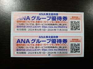 【最新・送料無料！新品・未使用】ANAグループ優待券（２枚）2024年11月30日まで【全日空・ANA株主優待】