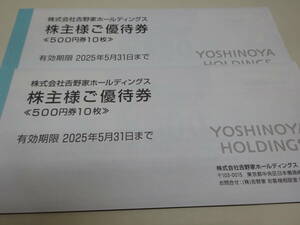 最新 吉野家 株主優待券 10,000円分　有効期限：2025年5月31日　送料無料