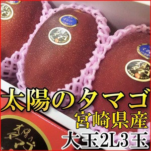 [Good] сразу отправка! Miyazaki префектура производство манго [ солнце. tamago] 2L3 шар ввод 