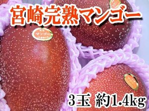 【Good】すぐ発送！宮崎産『宮崎完熟マンゴー』 3玉 約1.4kg