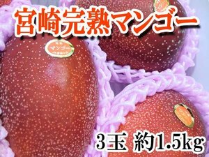 【Good】すぐ発送！宮崎県産　宮崎完熟マンゴー 3玉 約1.5kg