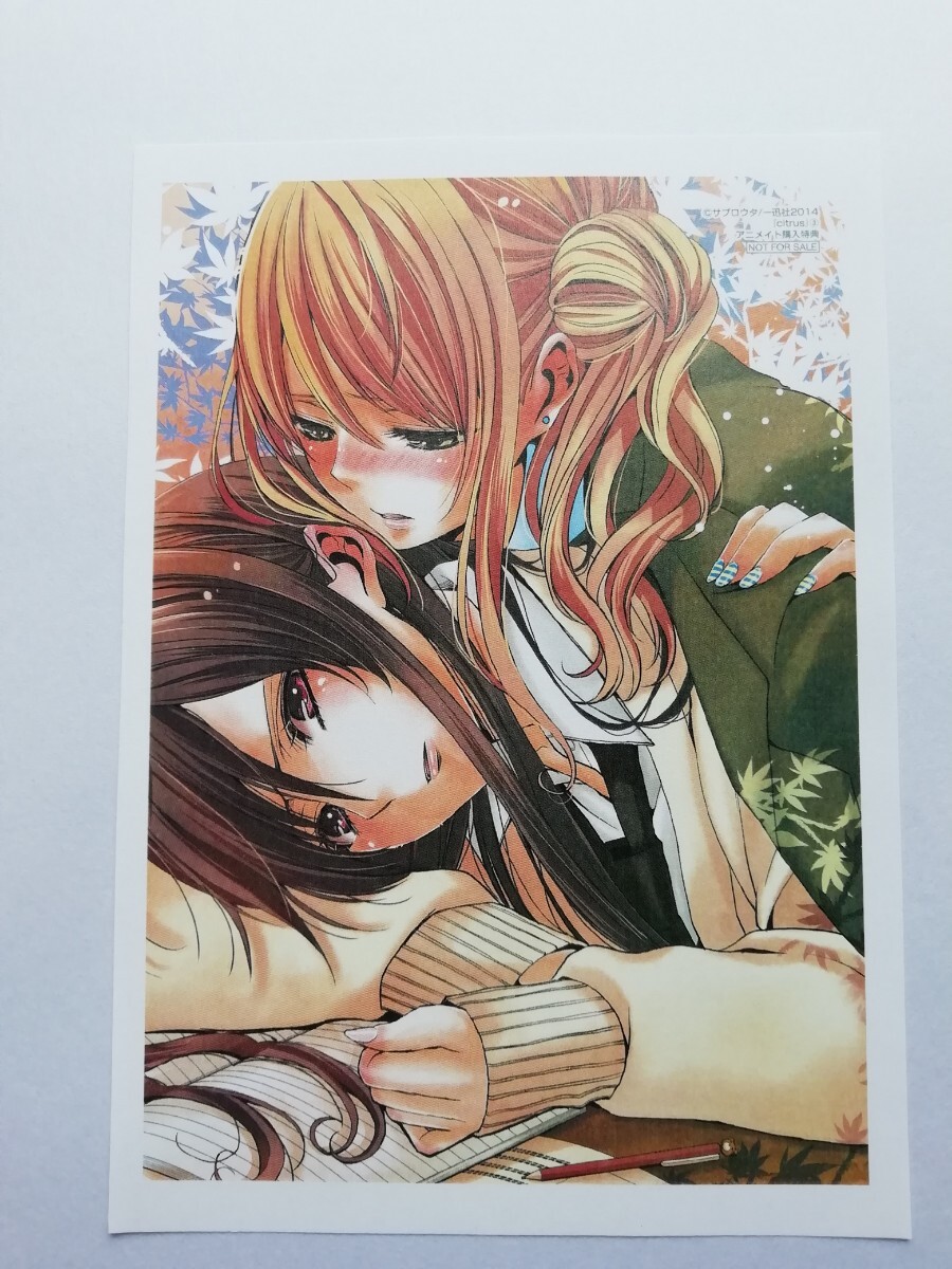 Yahoo!オークション -「citrus サブロウタ」(その他) の落札相場 Yahoo!オークション -「citrus サブロウタ」(その他) の落札相場
