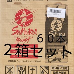 2箱 ジャパンエナジー SAMURAI ENERGY BURST サムライエナジーバースト 250ml×30本 エナジードリンク