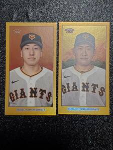 topps 206 50枚限定　タバコサイズ　ミニカード　菅野智之　大勢　読売ジャイアンツ　巨人　プロ野球　トレカ　BBM EPOCH　