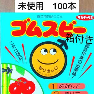 未使用□サカタのタネ　ゴムスビー バラ100本(箱付き)