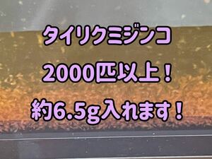 ●○ネコポス送料無料！タイリクミジンコ2000匹以上（約6.5g）！○● 