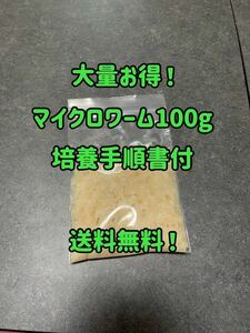 ●○送料無料！マイクロワーム種100g！培養手順書も付けます！○●