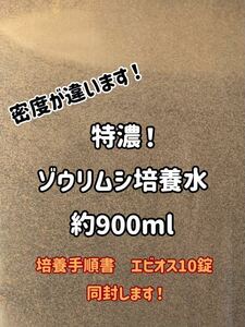 ●○特濃！ゾウリムシ約900ml！培養手順書とエビオス10錠同封します！○● 