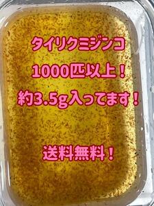 ●○ネコポス送料無料！タイリクミジンコ1000匹以上（約3.5g）！○● 