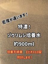 ●○特濃！ゾウリムシ約900ml！培養手順書とエビオス10錠同封します！○● _画像1