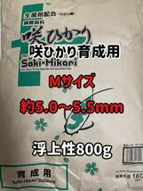 増量しました！咲ひかり育成用　浮上性　Mサイズ 800g_画像1