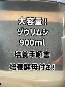 ●○特濃！ゾウリムシ約900ml！培養手順書とエビオス10錠同封します！○●1