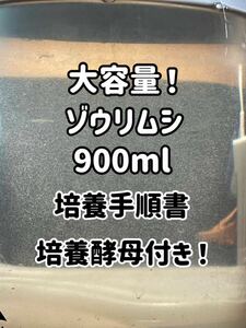 ●○特濃！ゾウリムシ約900ml！培養手順書とエビオス10錠同封します！○●2