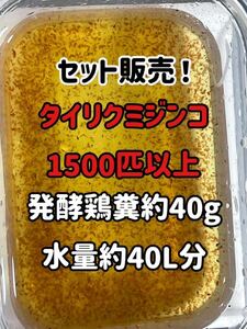 ★☆ネコポス送料無料！タイリクミジンコ1500匹以上と鶏糞約40g☆★