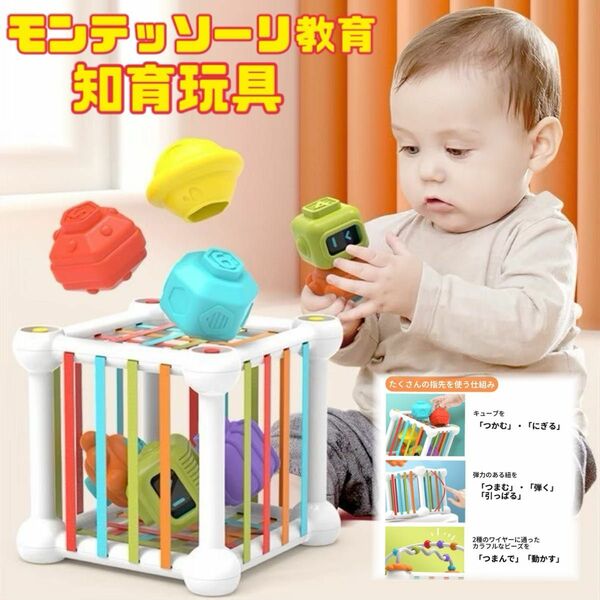 知育玩具　おもちゃ　モンテッソーリ　ブロック　型はめ　積み木　指先訓練　プレゼント