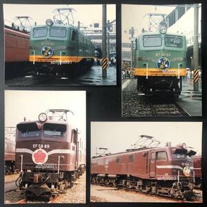 EF58 electric locomotive. photograph 4 sheets (EF58 89/EF58 93/.../ Sakura /. feather / retro /JUNK)