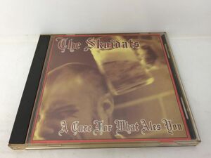 CD/The Skoidats A Cure For What Ales You/The Skoidats/MOON SKA RECORDS/MR149/【M001】