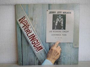 LP盤レコード / JERRY JEFF WALKER / VIVA TERLINGUA! / ジェリー・ジェフ・ウォーカー / MCA-382 【M006】