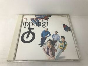 CD/パール兄弟 六本木島/パール兄弟/POLYDOR K.K./POCH-1013/【M001】