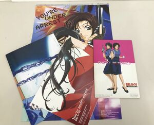 アニメグッズ / 逮捕しちゃうぞ フォトメモリーズ 夏実＆美幸DokiDoki生写真 非売品 / 雑誌付録ポスター付【G001】