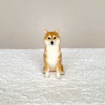 ぴのきち☆10.0cmの柴犬さん☆羊毛フェルト 犬 柴犬 柴 赤柴 豆柴 日本犬 ドールハウス ミニチュア ハンドメイド_画像5