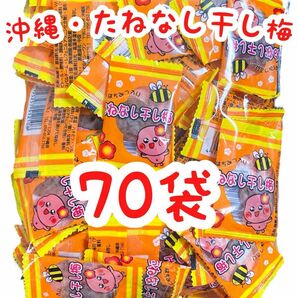 【SALE・人気商品】沖縄・たねなし干し梅(７０個入) はちみつ入 種なし梅干しシリーズ 大容量 お買得 大好評