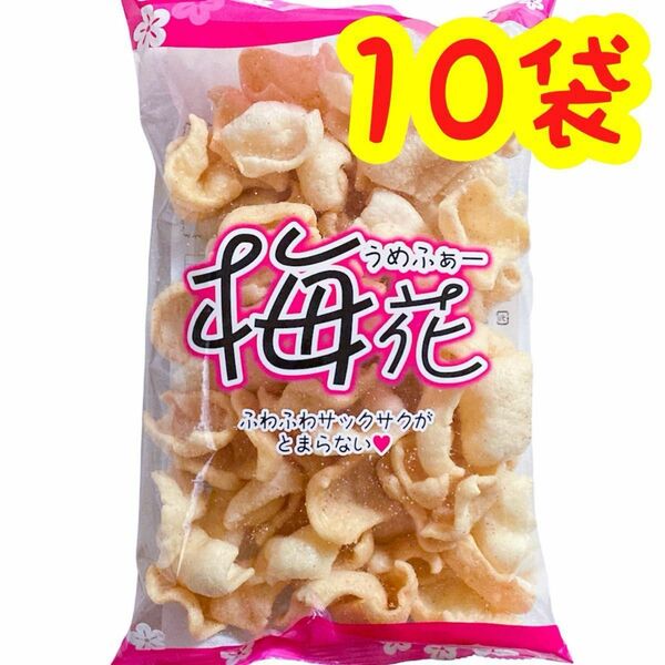【人気商品】沖縄 梅花(うめふぁー) １０袋セット 玉木製菓 沖縄菓子 