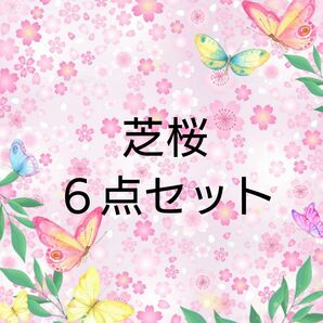 【ネコポス】処分価格 芝桜 ６ポット苗セット