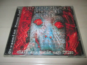 STRAPPING YOUNG LAD　「HEAVY AS A REALLY HEAVY THING」　国内盤　デヴィン・タウンゼント