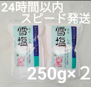 【２袋セット】雪塩　お徳用パッケージ　250g×２袋【24時間以内スピード発送】