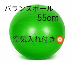 空気入れ付き　バランスボール ヨガボール ジム ヨガ フィットネス 体幹 アンチバースト トレーニング 　55cm