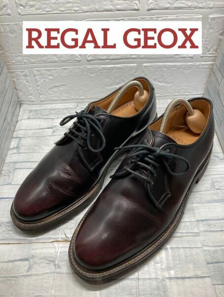 REGAL GEOX ダークブラウン　24.5cm　 ビジネスシューズ