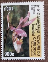 カンボジア　2000 蘭　6完 ラン　花　植物　自然　未使用糊なし_画像5