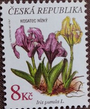 チェコ　1997 自然保護　4完 植物　花　草花　野草　未使用糊なし_画像6