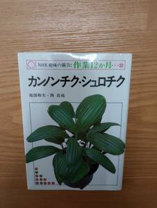 240329-9 NHK趣味の園芸：作業12か月カノンチク・シュロチク　池部和夫・西日良祐著　昭和５４年6月15日第１刷発行　日本放送出版