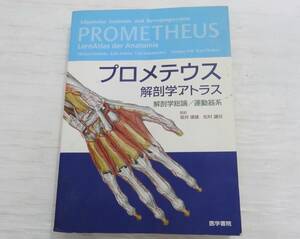 A0241 医学書院 プロメテウス 解剖学アトラス 解剖学総論/運動器形 第1版 初版 PROMETHEUS LernAtlas der Anatomie