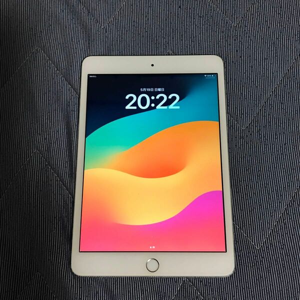 美品iPad mini Cellular