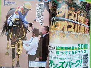 「週刊ギャロップ5/5号＋競馬ブック5/4.5号!!(※クリアファイル3枚付き!)」